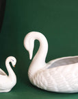 vases cygne