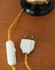 cable lamep