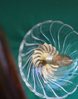 Applique en verre Solea