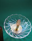 Applique en verre Solea