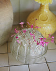 vase fleurs  marseille